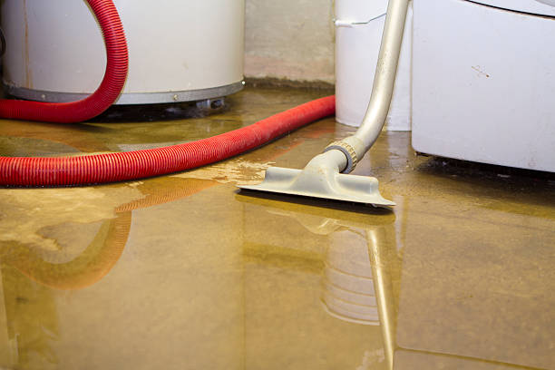 Best Water damage restoration insurance claims  in USA